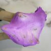 اسلایم شنی- کدی لند